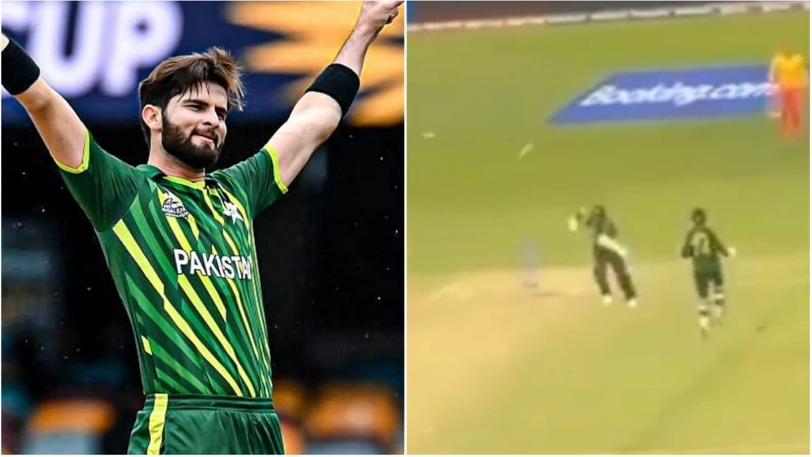 Watch: Amazing fan angle shows Afridi struggling for second run against Zimbabwe |  Cricket